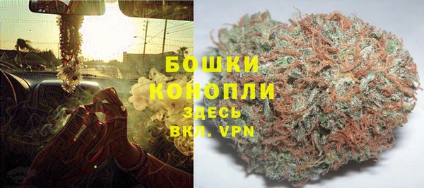 СК Богородицк
