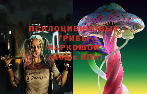 СК Богородицк