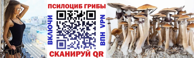 Псилоцибиновые грибы ЛСД  купить  цена  мега ССЫЛКА  Верхняя Тура 